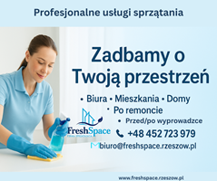 Profesjonalne sprzątanie